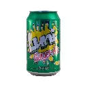 LUNI Ginger Ale 12x12 OZ can